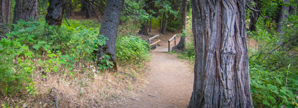 Aim-Trail