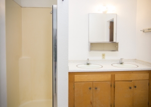 Mountain View Bathroom 1